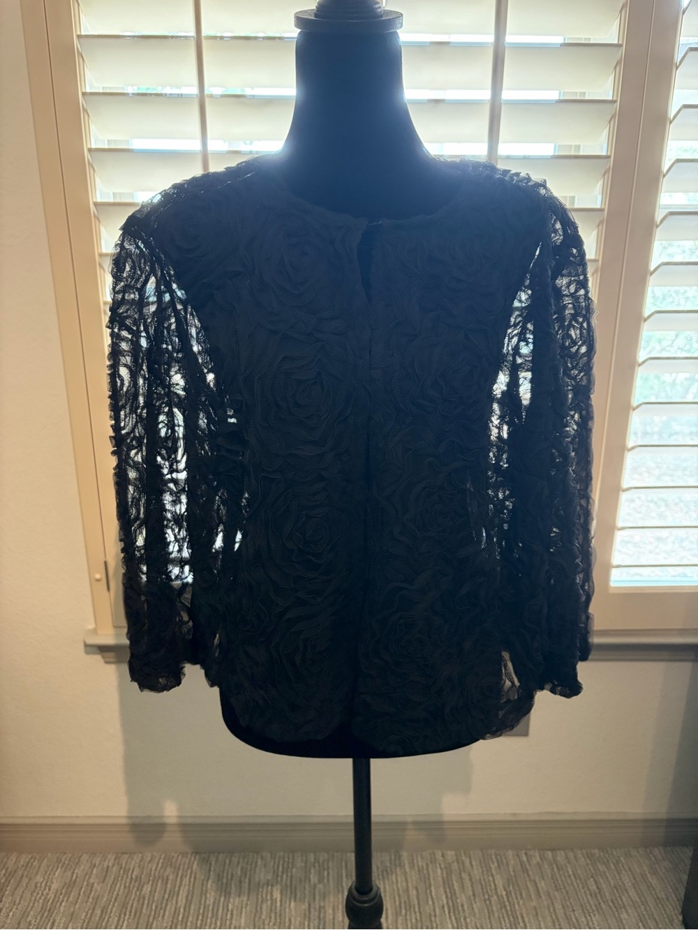 R&M Richards Black Rose-Textured Lace Blouse